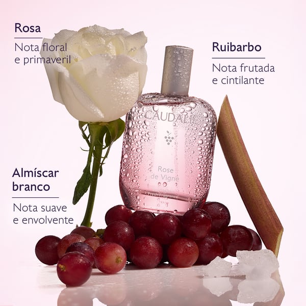 3522930005308-rdv-pt-4.webp