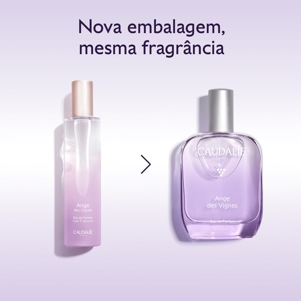 3522930005315-adv-pt-5.webp
