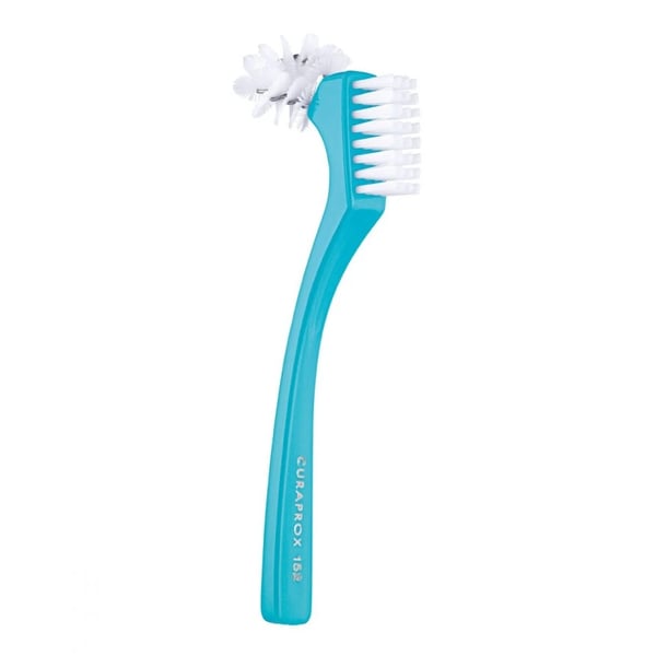 escova-para-limpeza-de-dentaduras-menta.webp