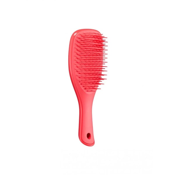 TANGLE TEEZER WET DETANGLER MINI HAIRBRUSH PINK PUNCH