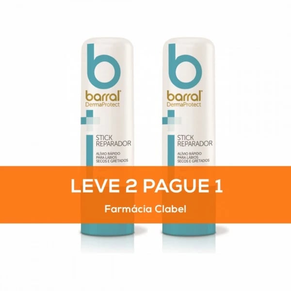 BARRAL DERMAPROTE STICK REPAR 4,8G L2P1